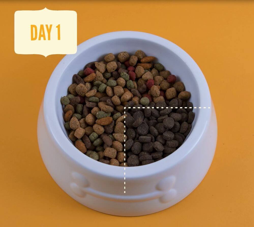 Rotational Feeding Guide